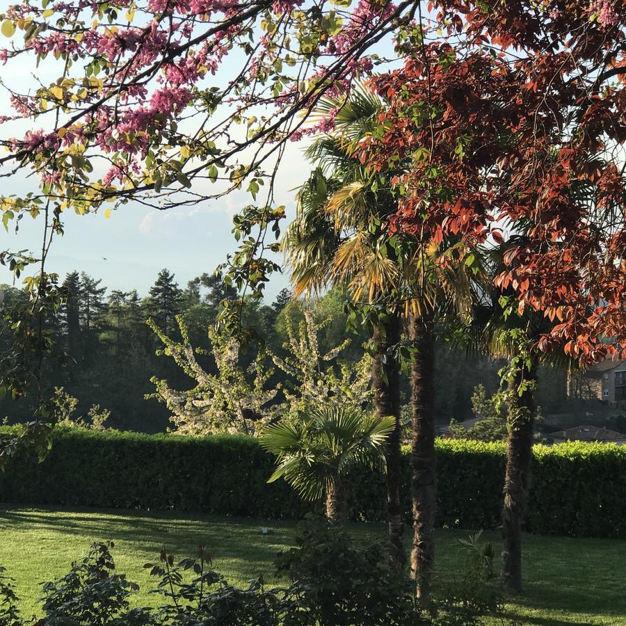 Residenza Ambrogi Panzió Urbino Kültér fotó